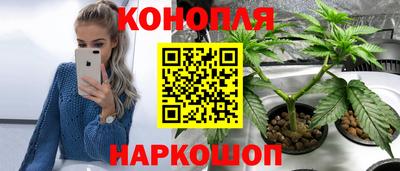 a pvp Будённовск